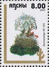 International space station