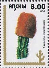 Museum of Military Glory in Novy Athos