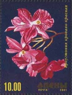 Dr. Sun Yat-sen, Sinkiang overprinted