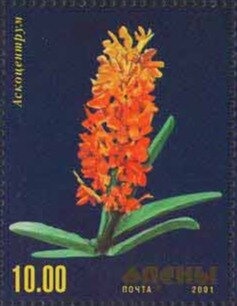 EUROPA 2005 - Abkazian Cookery