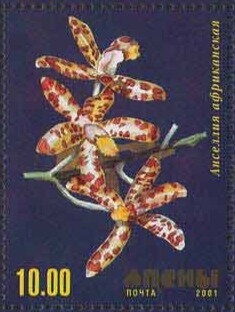 Sultan Papba (1898-1980), partisan, member of Resistance