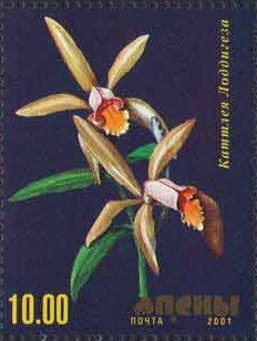 Flag of Abkhazian SSR