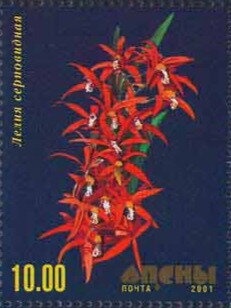 Two Monkeys and First Satellite