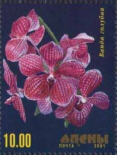 Cornet K. Lakerbay the hero of World War I