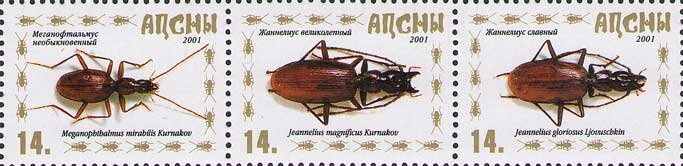 Portrait of abkhazian poet Leonty Labakhua (1912-1938)