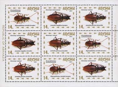 EUROPA 2019 - Eagles