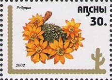 Tricholoma portentosum