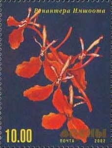 Emperor penguin (Aptenodytes forsteri)