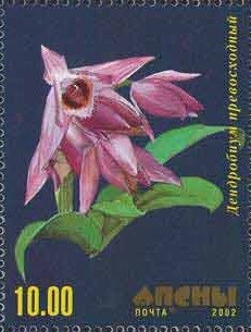 Museum of Military Glory in Novy Athos