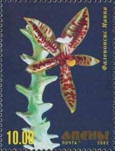 Portrait of the footballplayer Vitaly Daraselia (1957-1982)