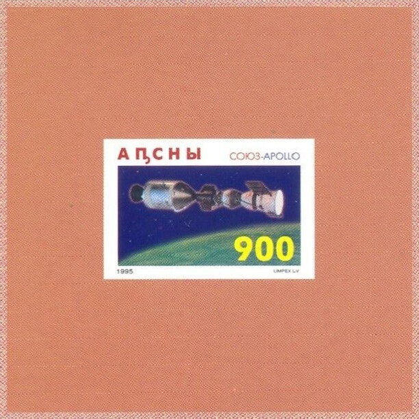 Acrocinus longimanus