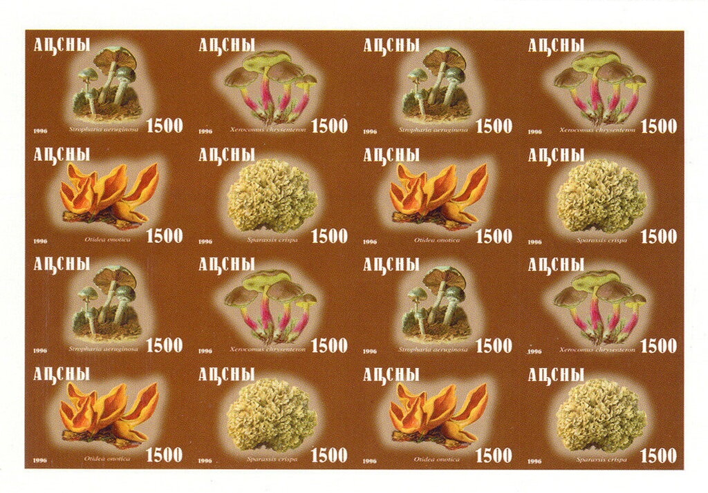 First postage stamp of Republic of Abkhazia