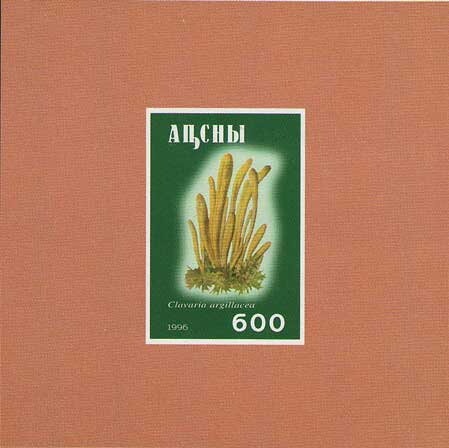 Myshja (Mikhail) Argun (1893-1994)