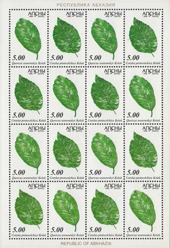 World Chess Championship