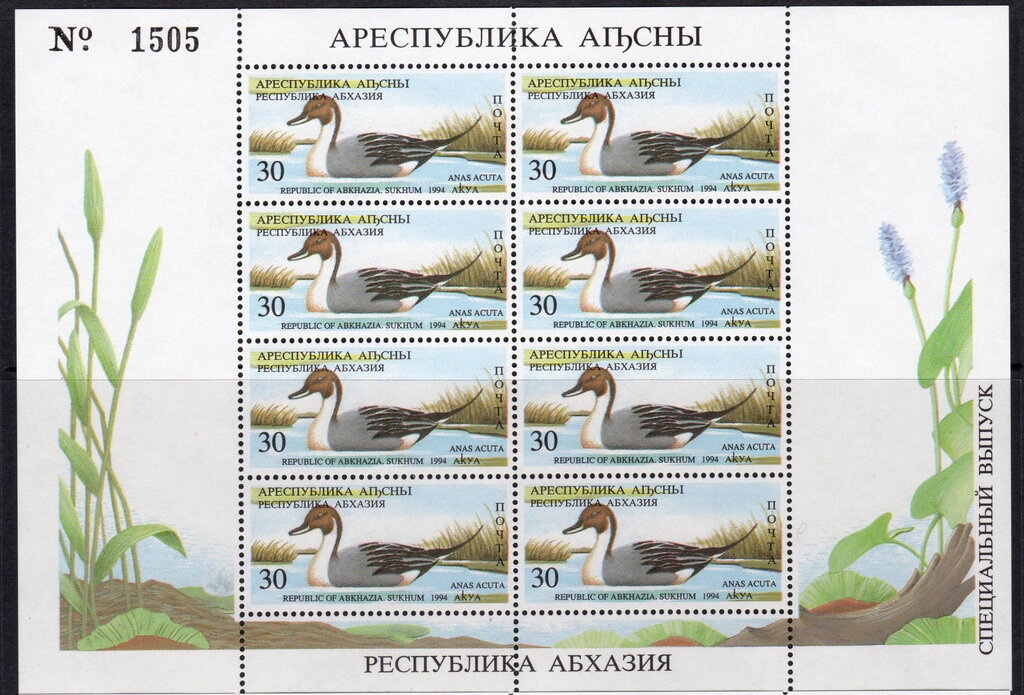 Euro Tunnel - overprint