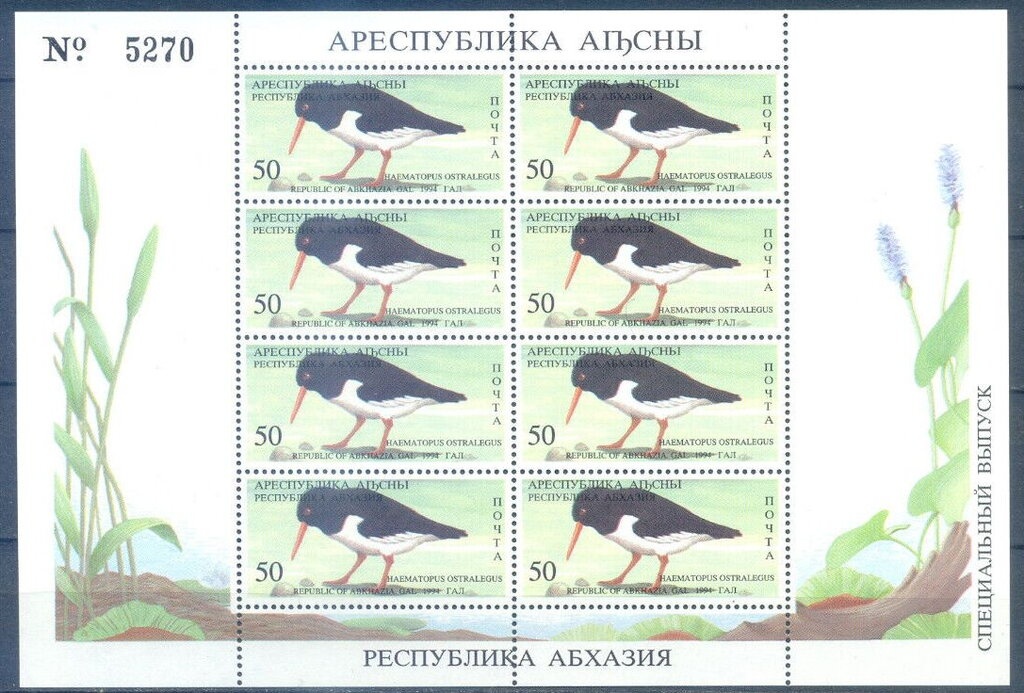 Medal hero of Abkhasia