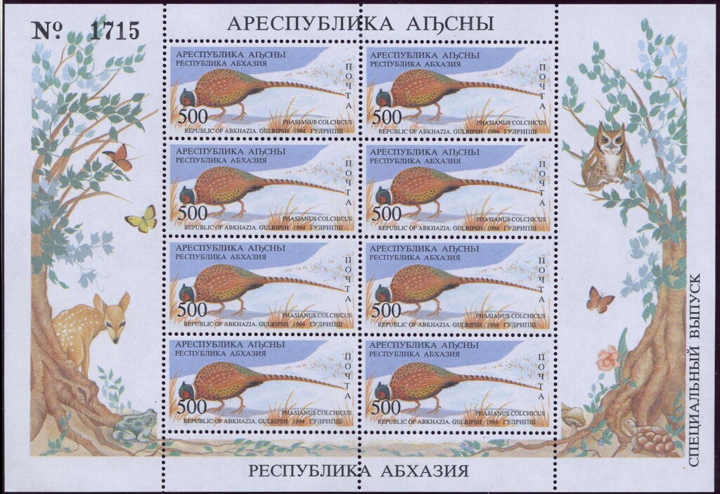 European Peacock (Inachis io)