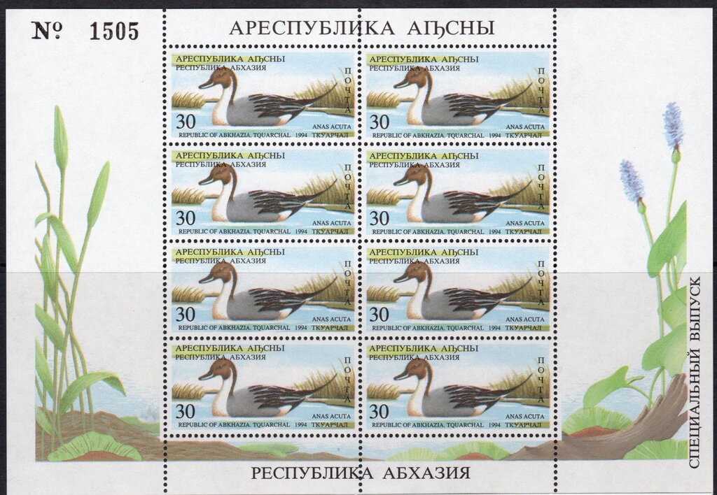 Map and State Symbols of Abkhazia