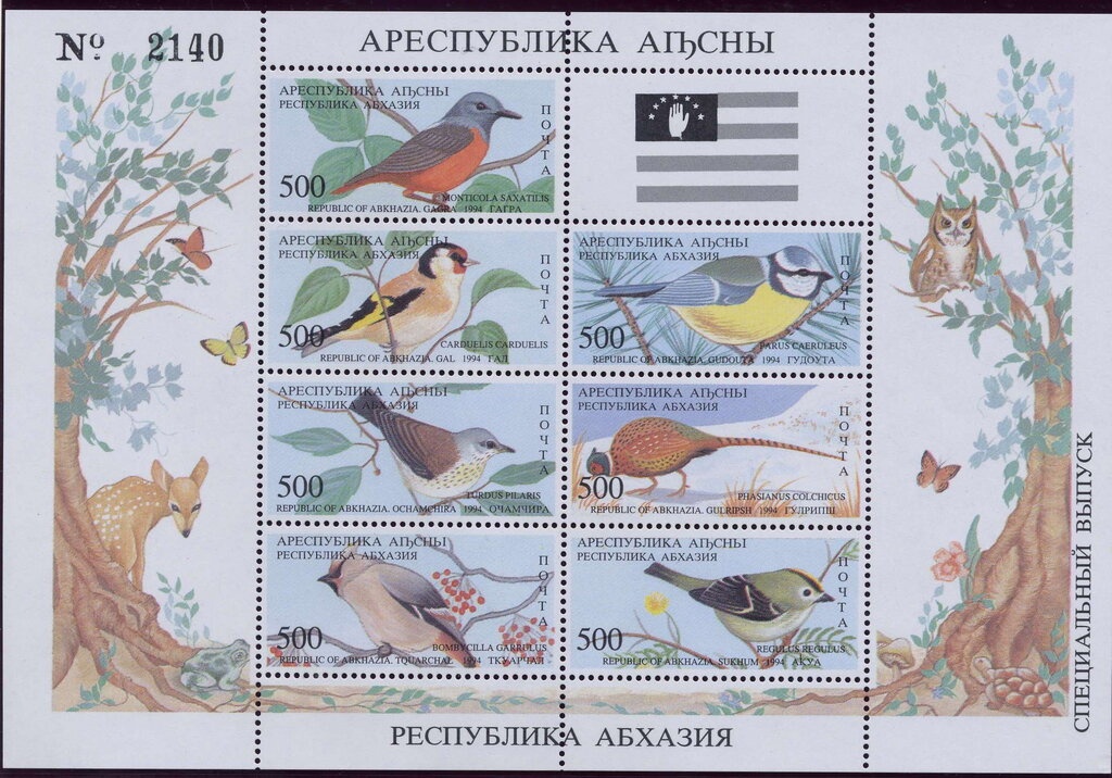 German Shorthaired Pointer