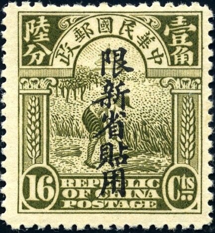 Red Caucasian Viper (Vipera kaznakovi) - from SS