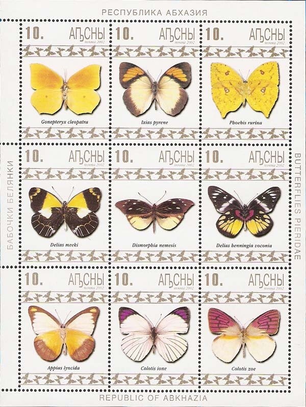 Eurasian sparrowhawk (Accipiter nisus)