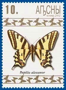 Small tortoiseshell (Aglais urticae)