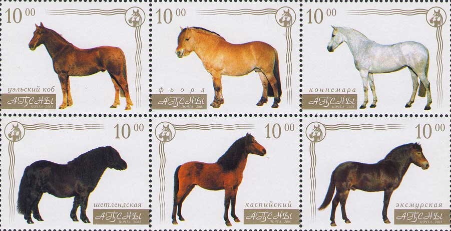 World Chess Championship