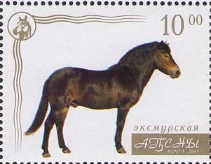 European Peacock (Inachis io)