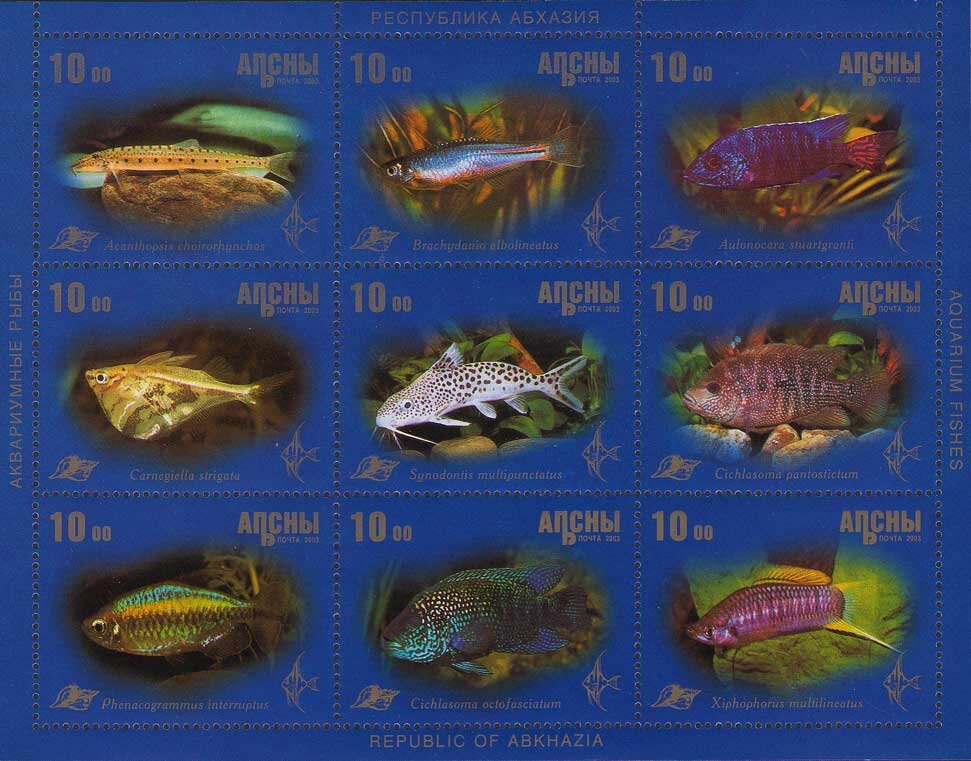 Andrew Sterrett Conklin, American