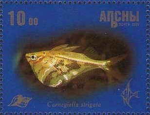 "Man at the Tiller" by Theo Van Rysselberghe