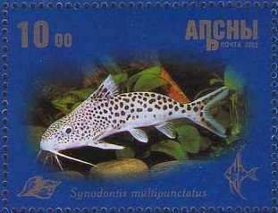 Warriors and flag of Abkhazia