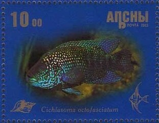 Jules Pascin, France