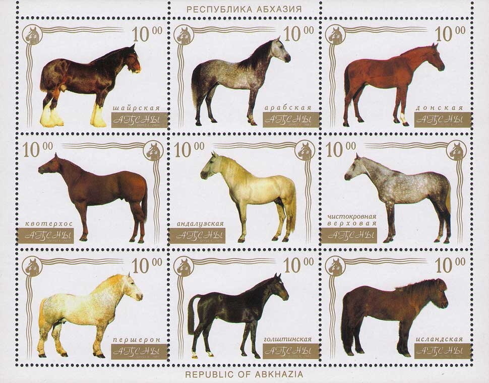 Lev Chitovsky, Russian