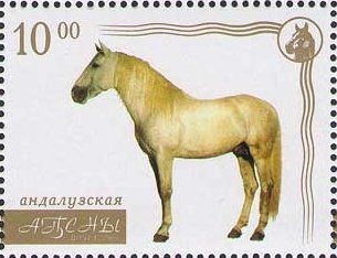 Sheikh Zaid bin Sultan al Nahayan