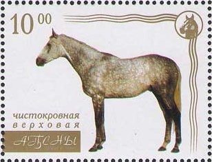 Small tortoiseshell (Aglais urtichae)