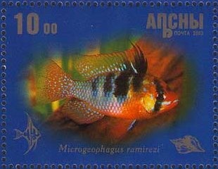 Olympic Games Atlanta 1996