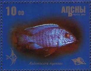 10th anniversary of the sovereignty of Abkhazia