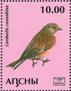 Sheikh Zaid and Mt. Fuji (T. Hayashi)