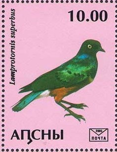 Linophryne arborifera