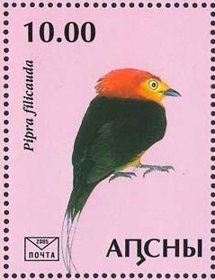 Wine, Grapes and Bee on a Flower