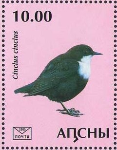 Abkhasian national costume XVIII-XIX c.