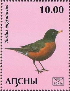 Cathedral of Simone Cananite