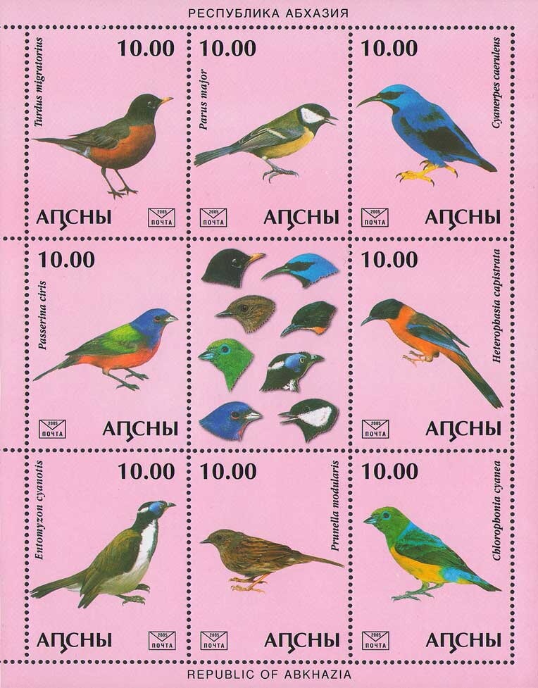 Roberta Coni. Italian