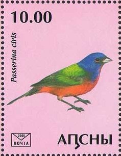 Peoples Princess Diana Princess of Wales