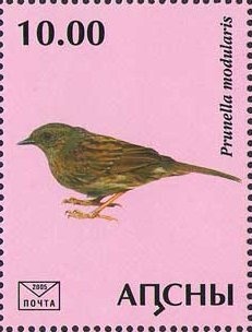 Oil Rig and Dromedary (Camelus dromedarius)