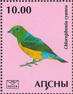 Space Project "Soyuz-Apollon"