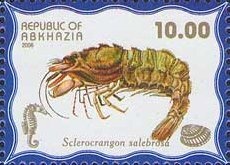 Istvan Csok, Hungarian