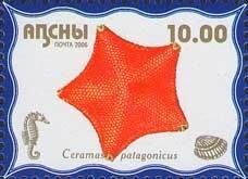 Sukhum Region: Wren (Troglodytes troglodytes)