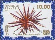 Legends of Abkhazian Football