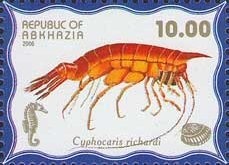 Arabian Desert Gazelle (Gazella cora) - Surcharged